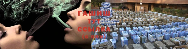 мдпв Елабуга