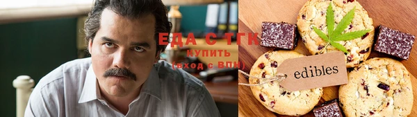 мдпв Елабуга