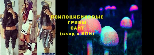 мдпв Елабуга