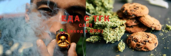 мдпв Елабуга