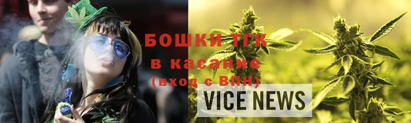 мдпв Елабуга
