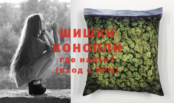 мдпв Елизово