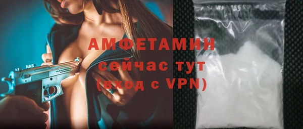мдпв Елабуга