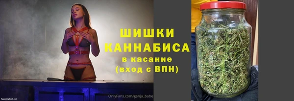мдпв Елабуга
