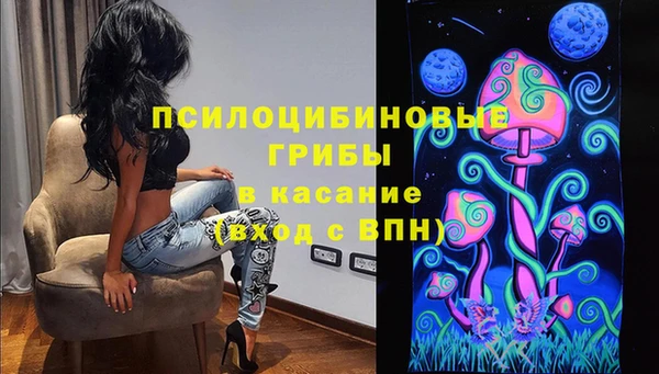 мдпв Елизово