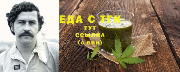 мдпв Елабуга