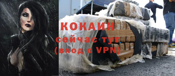 мдпв Елизово