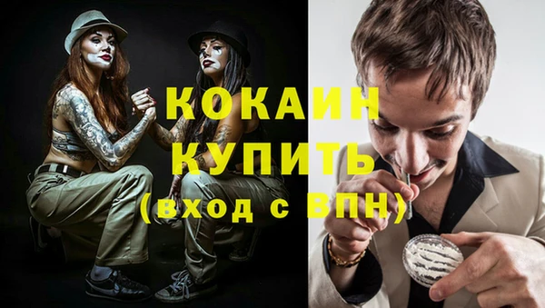 мдпв Елизово
