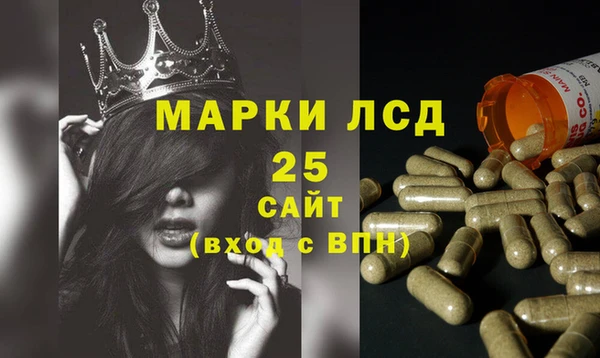 мдпв Елизово
