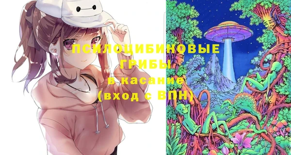 мдпв Елизово