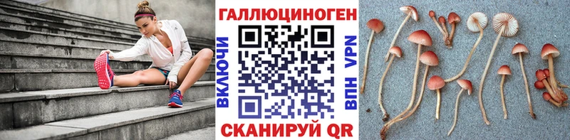 Псилоцибиновые грибы GOLDEN TEACHER  купить закладку  Нижний Новгород 