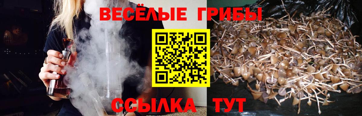 Псилоцибиновые грибы ЛСД Россия